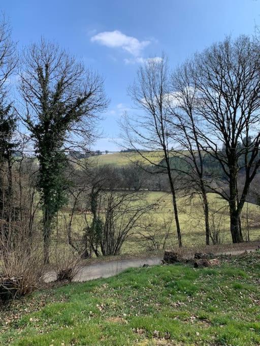 Gite Maison Du Trottoir, Sussac エクステリア 写真